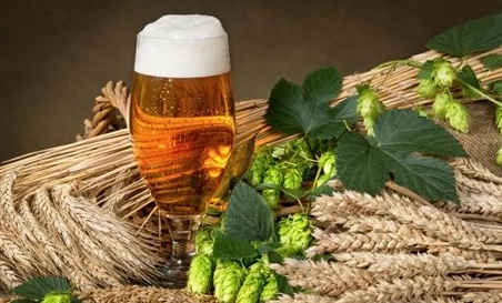 精釀啤酒中，如何選擇恰當?shù)慕湻椒ǎ?> </a>
    </dt> 
    <dd> 
     <h4><a href=